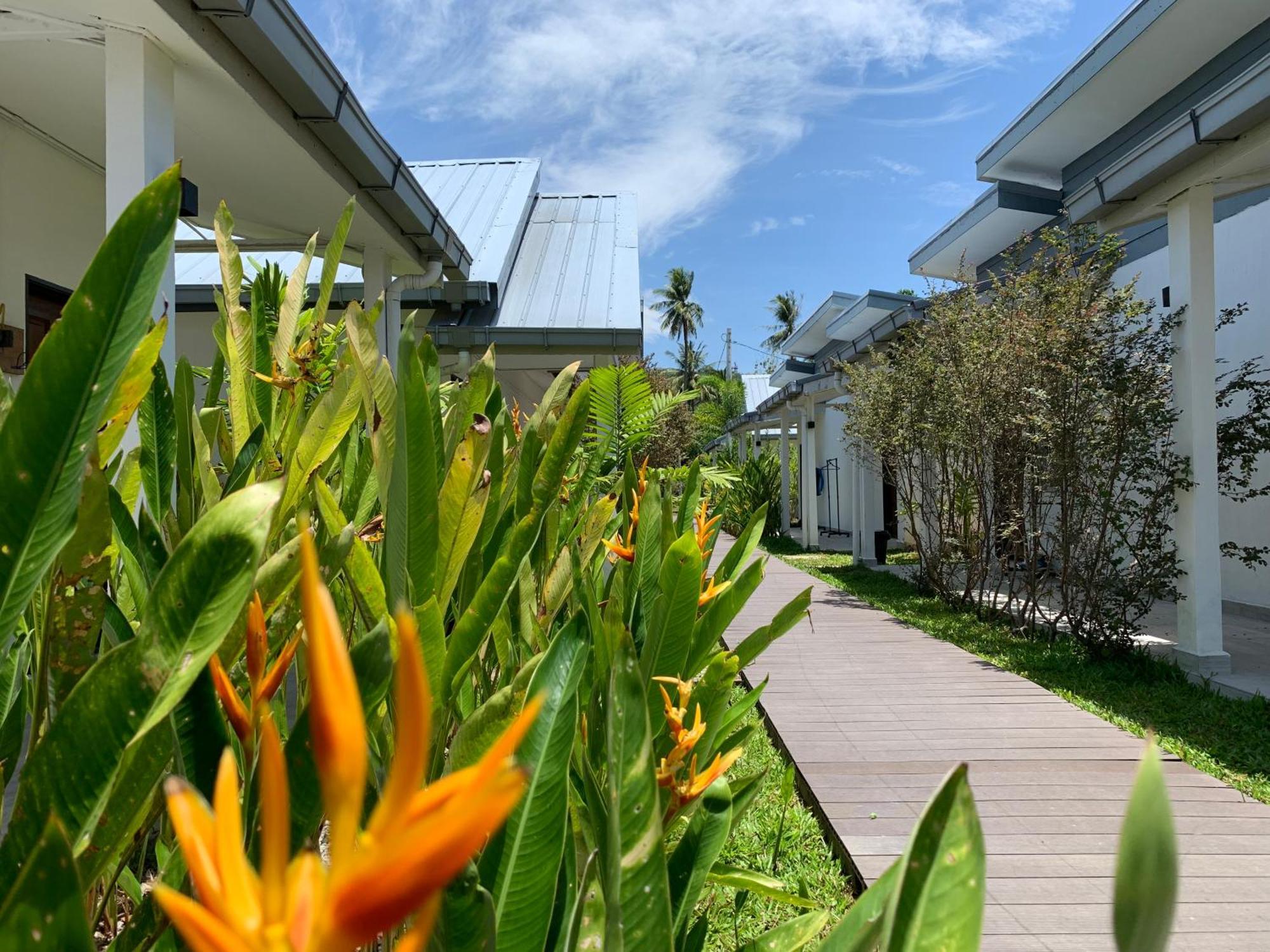 Cloud9 Holiday Cottages Pantai Cenang  Exteriör bild