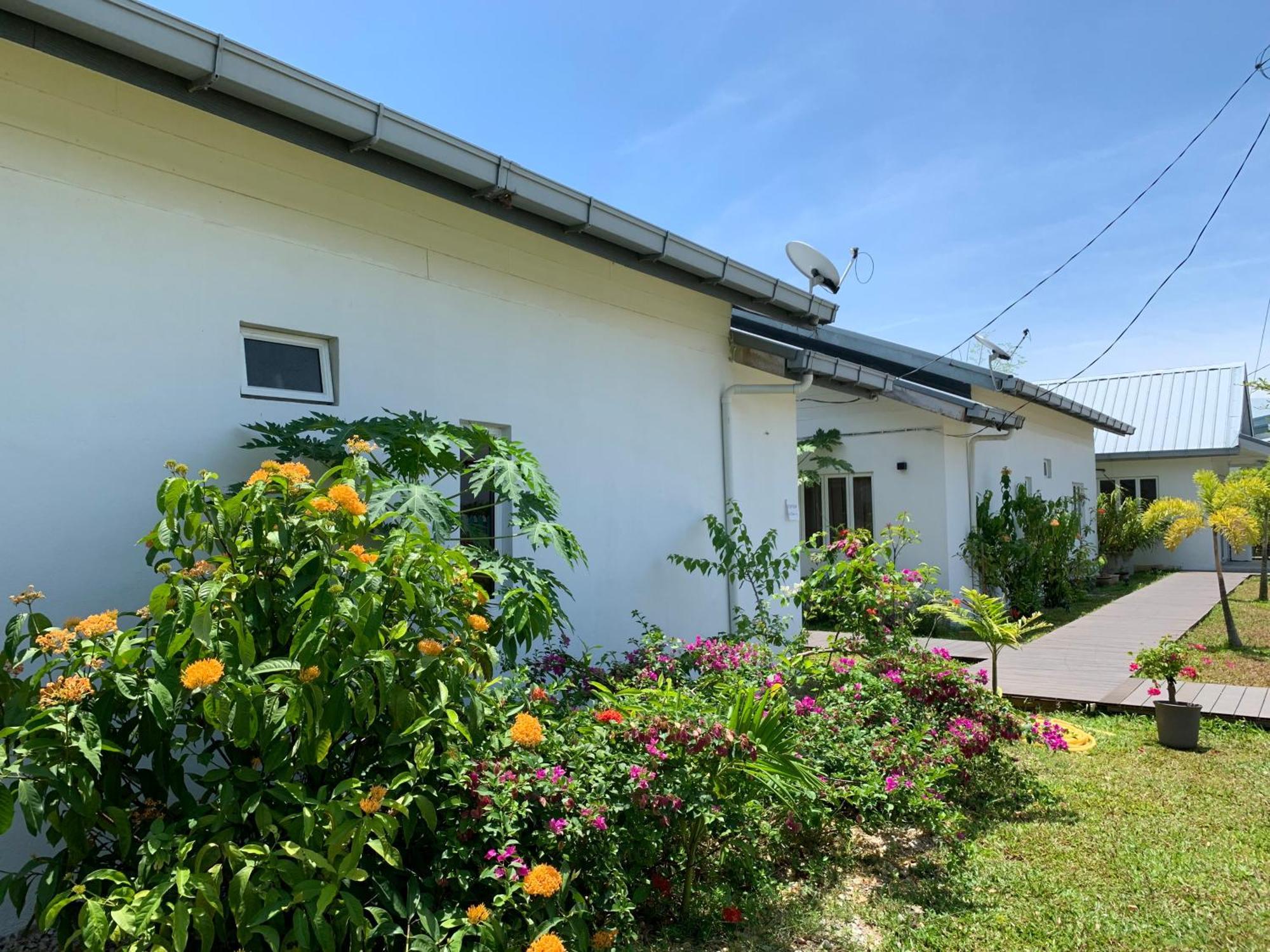 Cloud9 Holiday Cottages Pantai Cenang  Exteriör bild