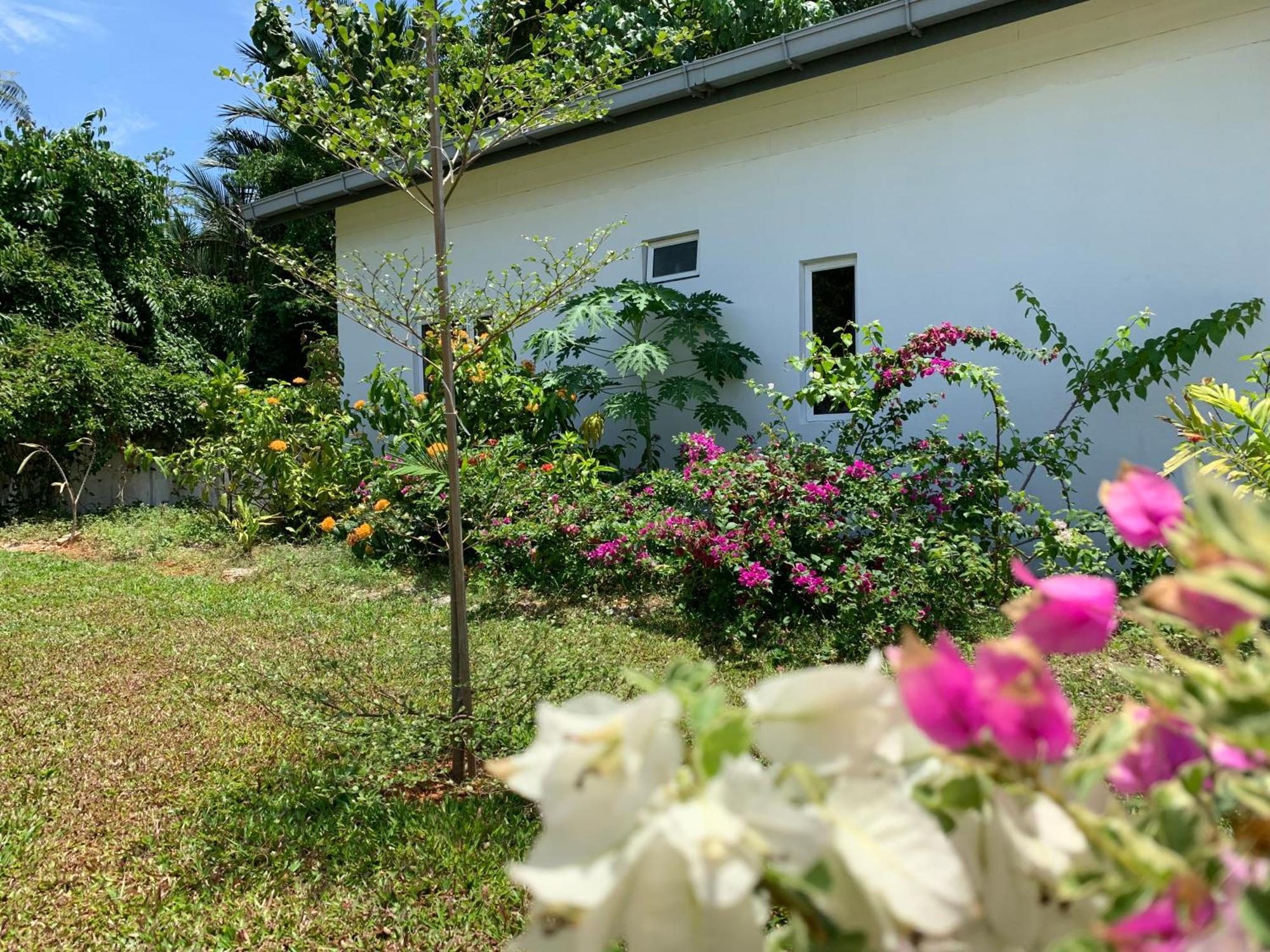 Cloud9 Holiday Cottages Pantai Cenang  Exteriör bild