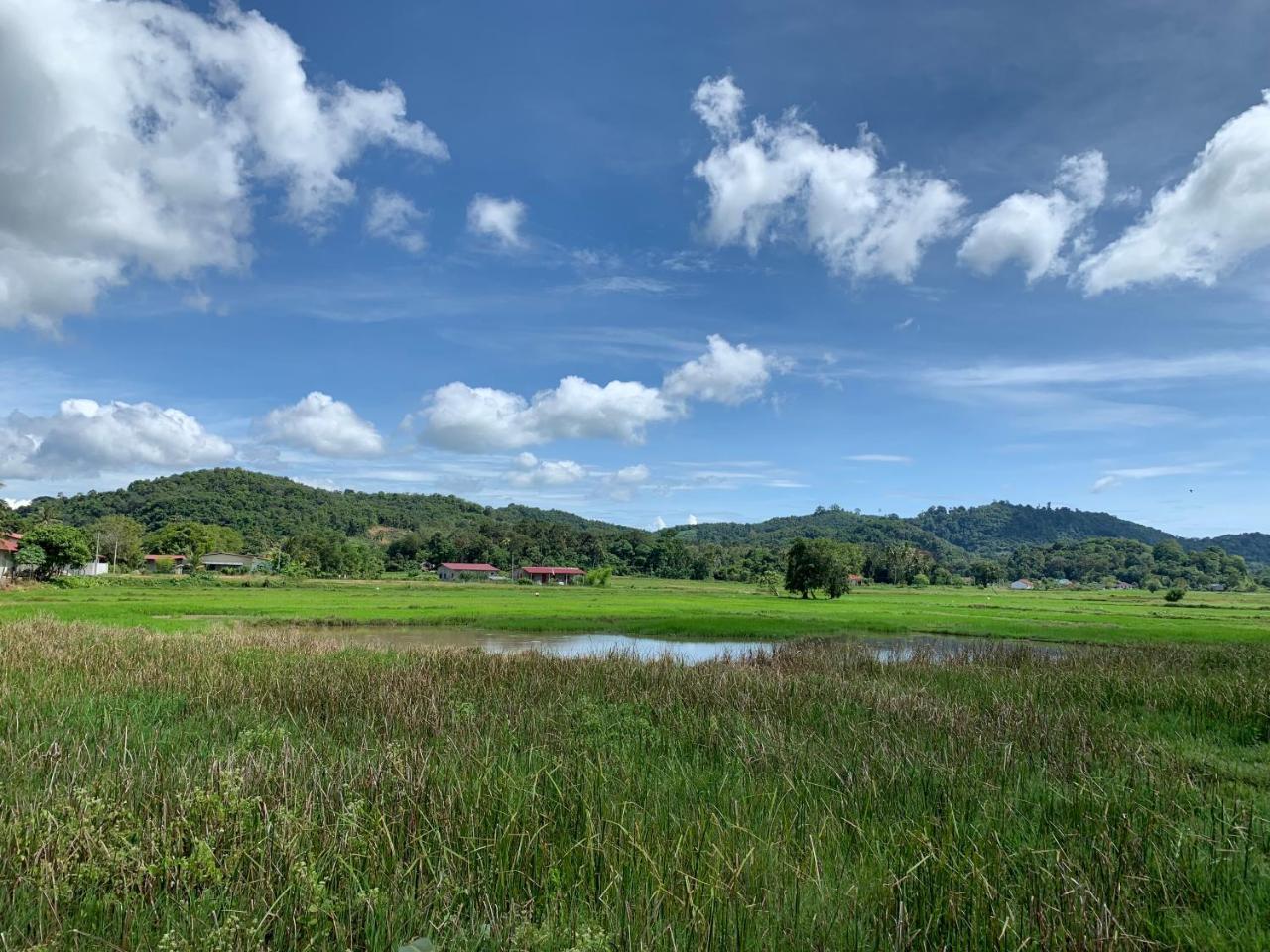 Cloud9 Holiday Cottages Pantai Cenang  Exteriör bild